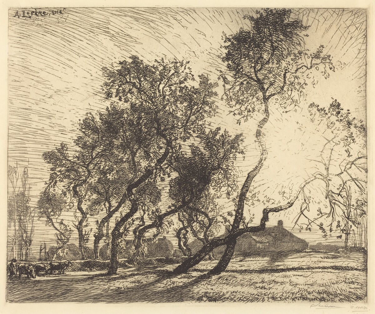 La Ferme aux peupliers de Hollande by Auguste Lepère