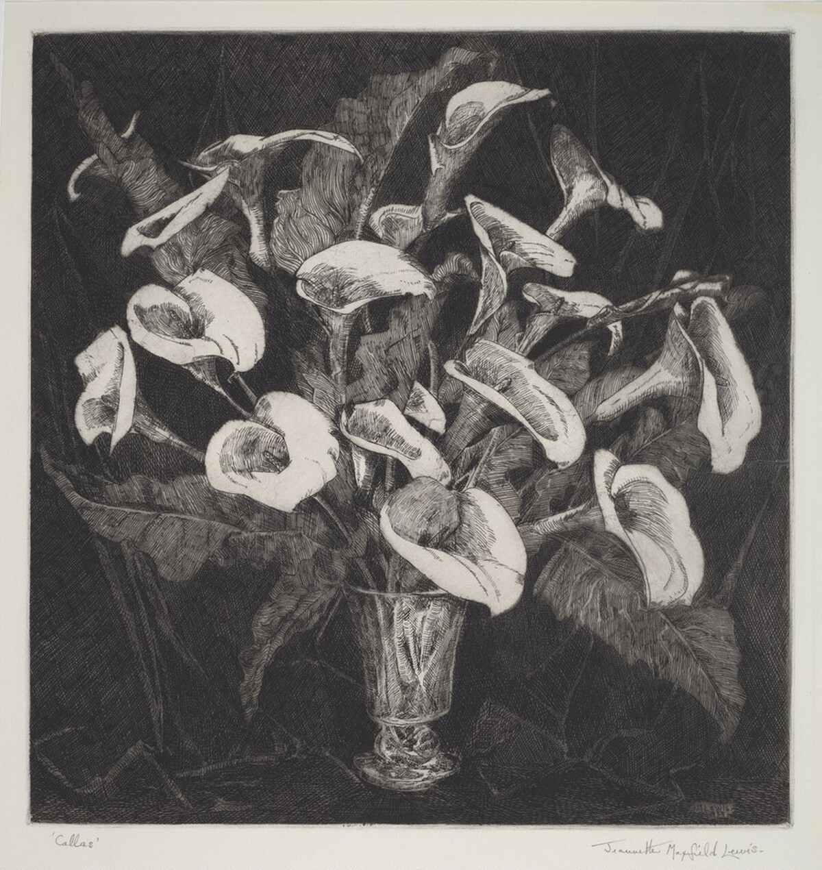 Callas by Jeannette Maxfield Lewis