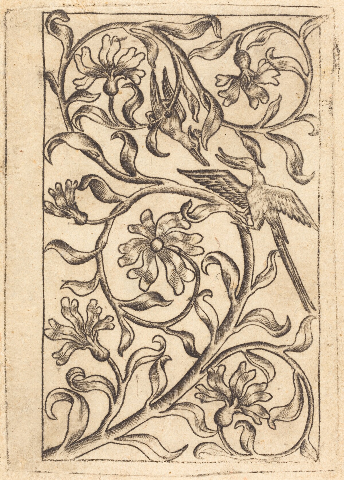 Vine Ornament with Two Birds by Follower of Master of the Playing Cards