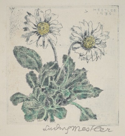 Daisy
