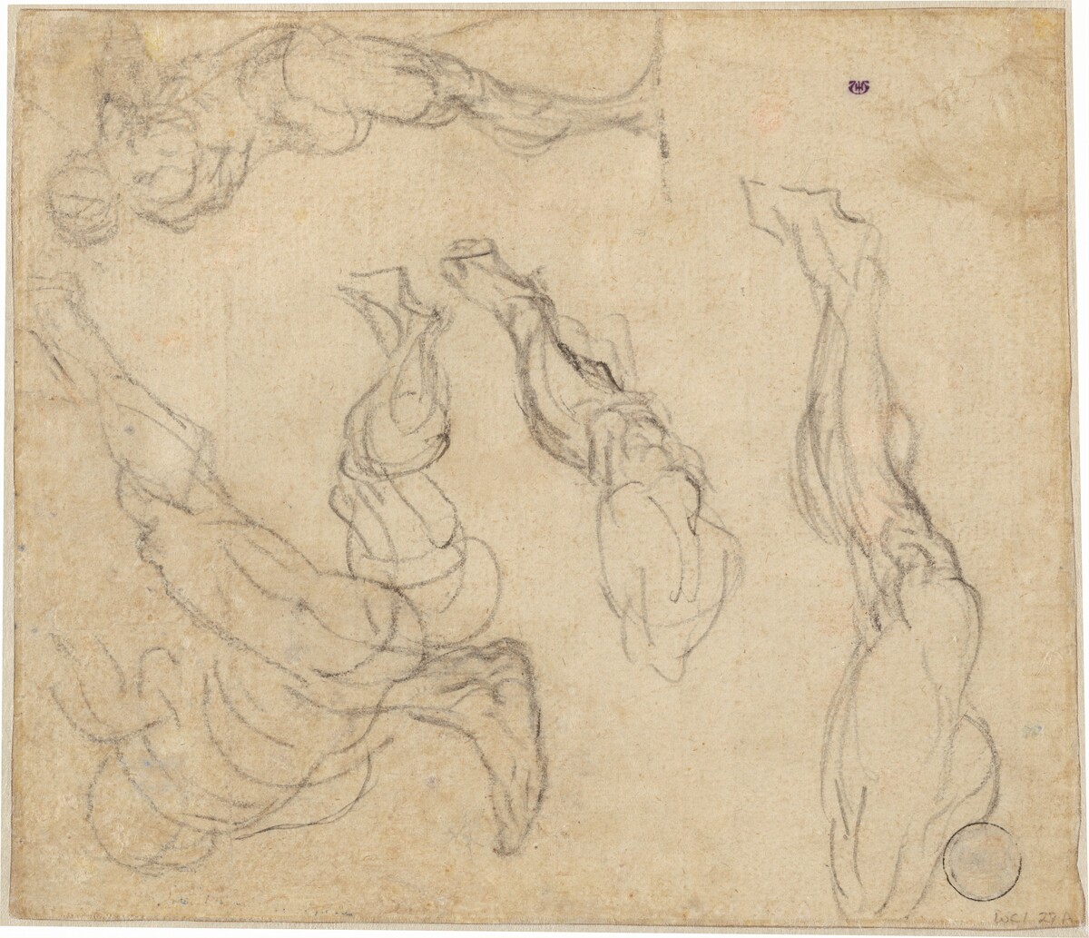 Head of a Boy (verso) by Giulio Campagnola