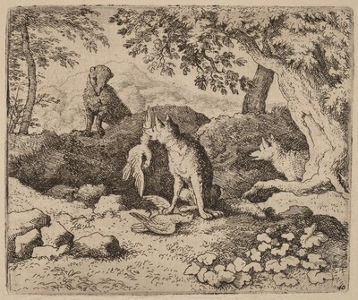 The Badger Goes to Warn Reynard