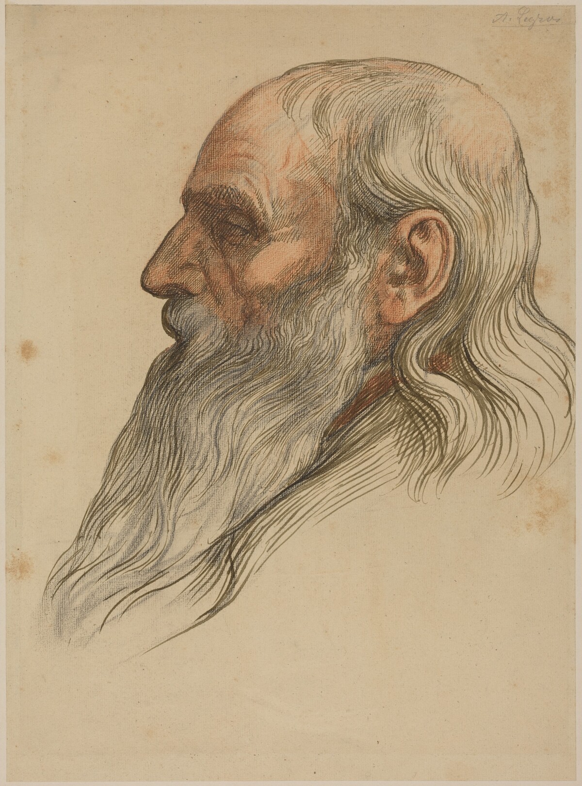 Study of a Man's Head with a Full Beard by Alphonse Legros