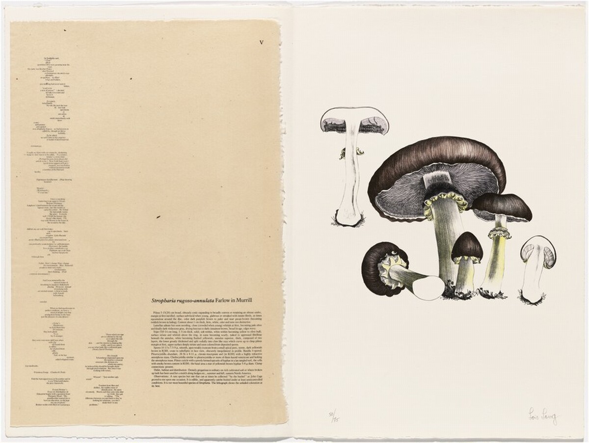 Untitled by Lois Long