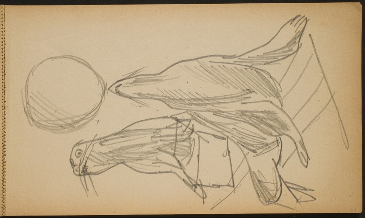 Zirkusnummer mit zwei Seelöwen (Two Performing Sea Lions) [p. 23] by Max Beckmann