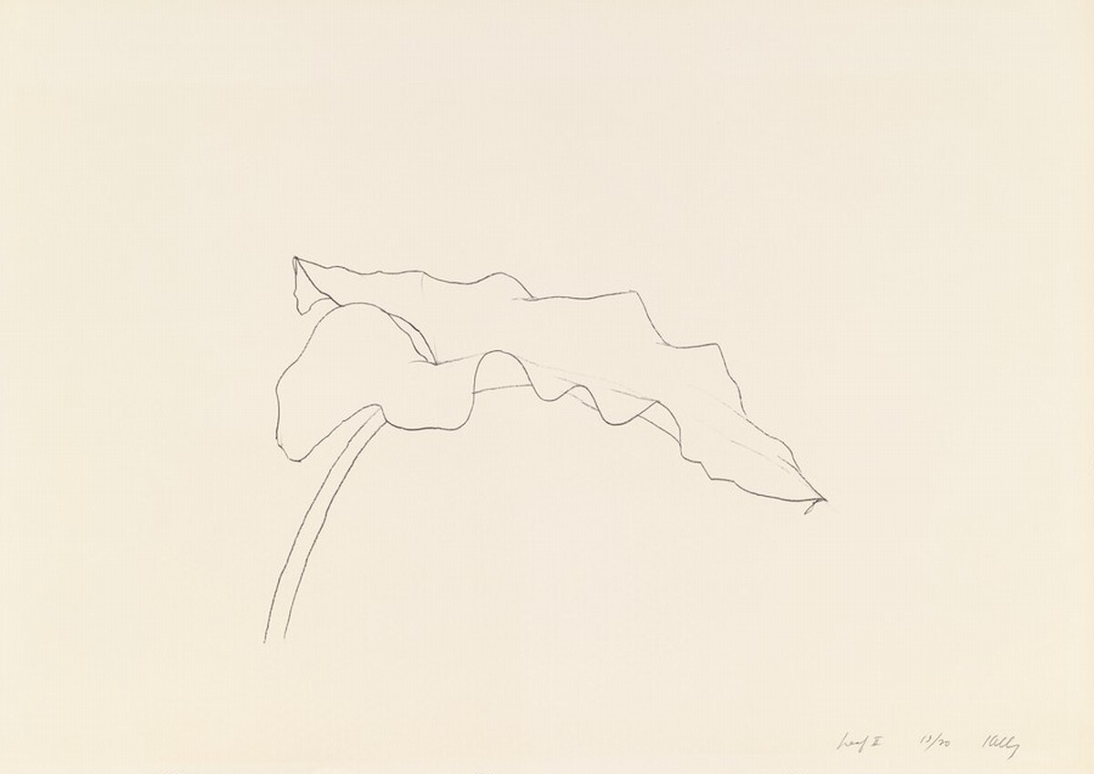 Leaf II by Ellsworth Kelly