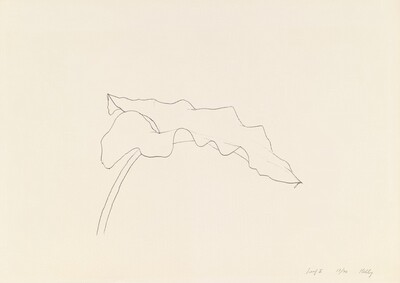 Leaf II