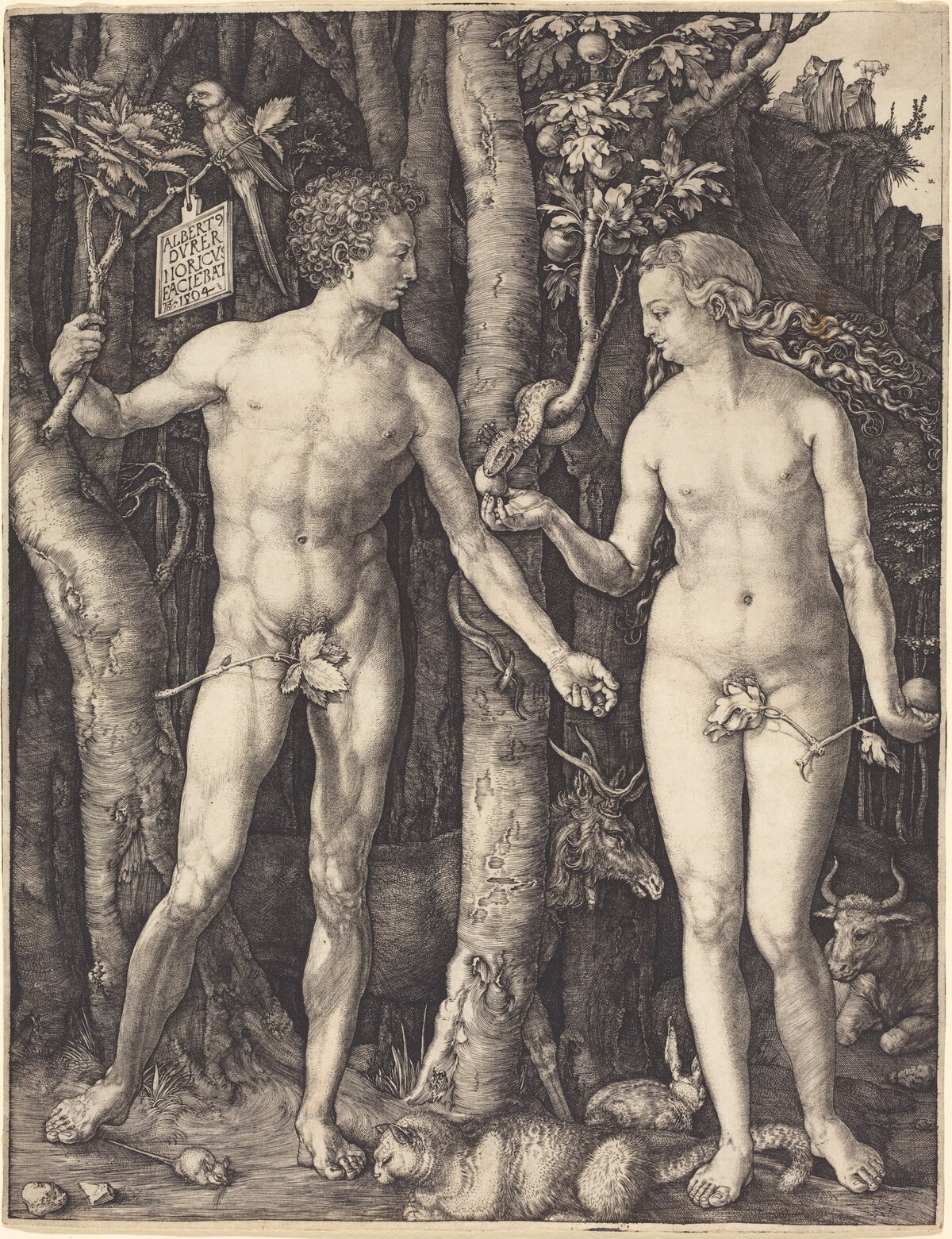 Adam and Eve by Albrecht Dürer