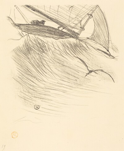 Les hirondelles de mer