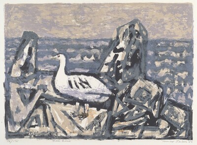 Sea Bird