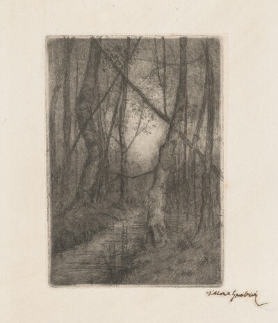 Stream in the Woods