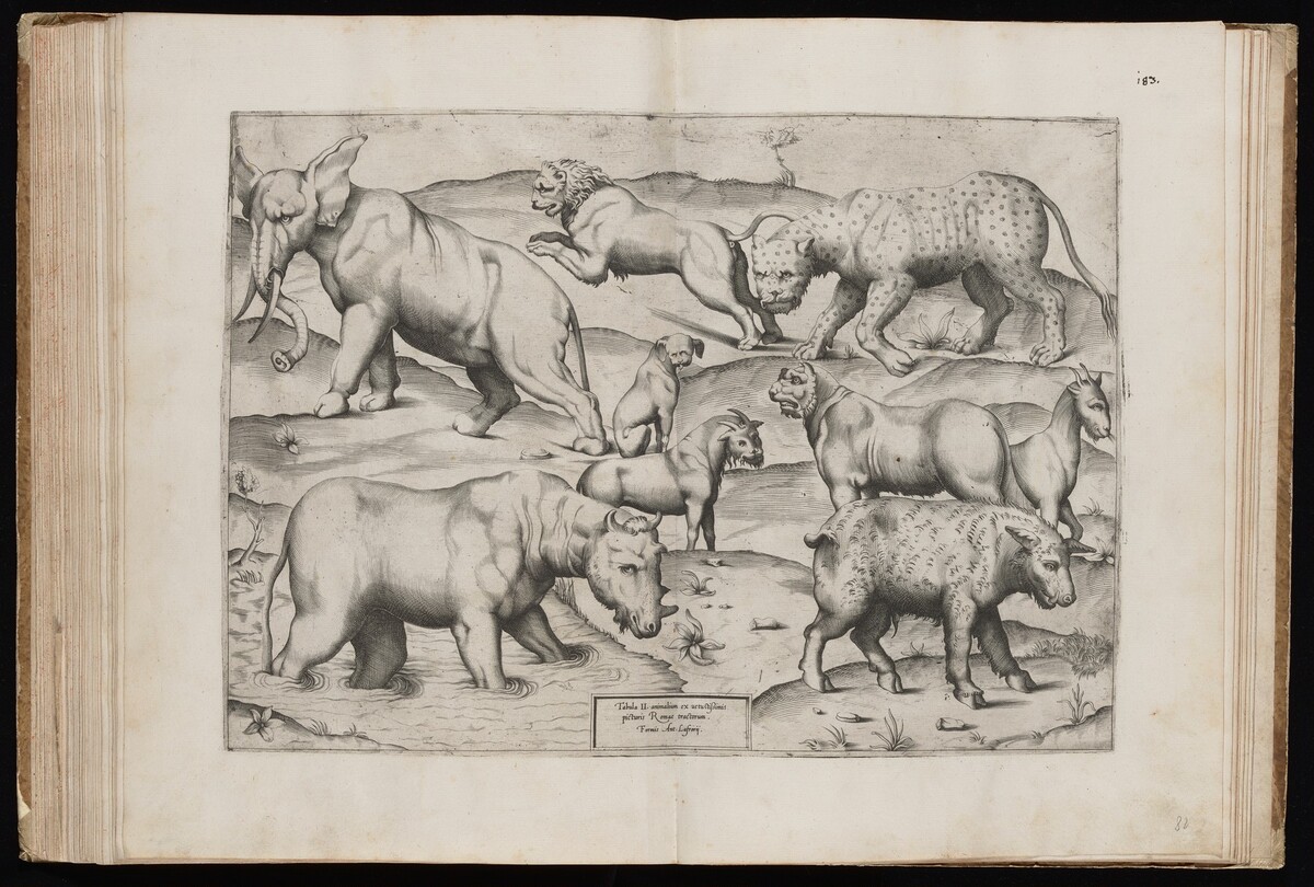 Animals from an Ancient Wall Painting [Table II] by Italian 16th Century, published by Antonio Lafreri
