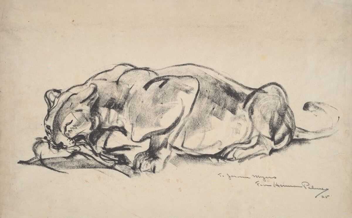 A Lioness by Joseph Pennell