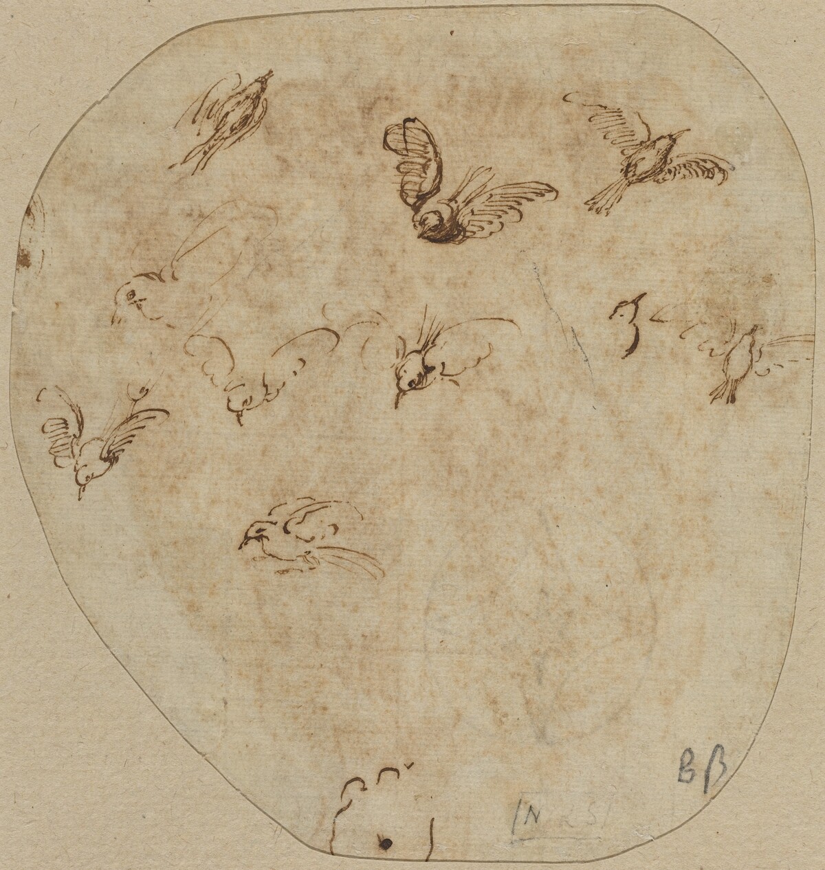 Birds in Flight [verso] by Attributed to Girolamo Mazzola Bedoli