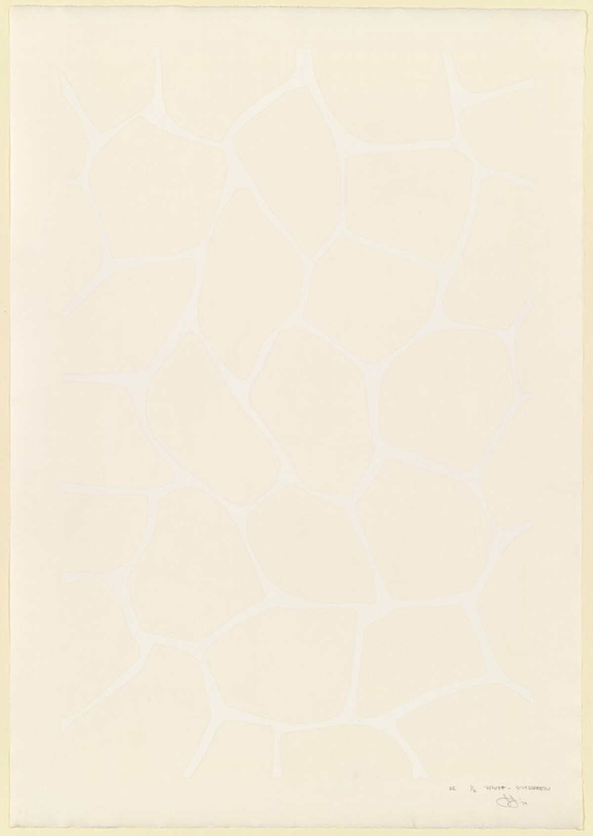 Four Panels from Untitled 1972 [C panel, trial proof 2] by Jasper Johns