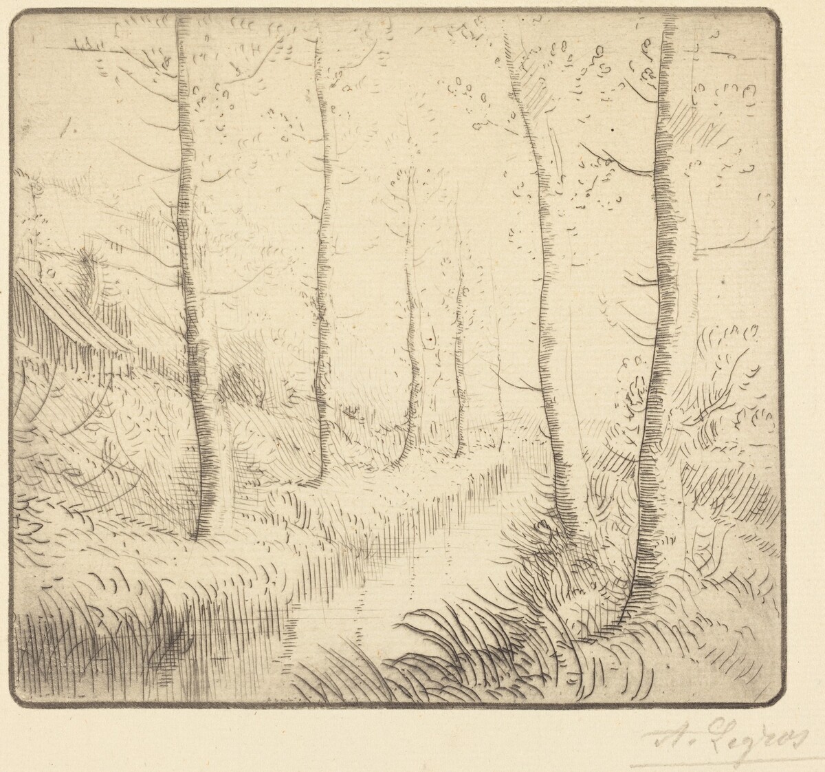 Birch Trees along the Water (Les bouleaux: Bord de l'eau) by Alphonse Legros