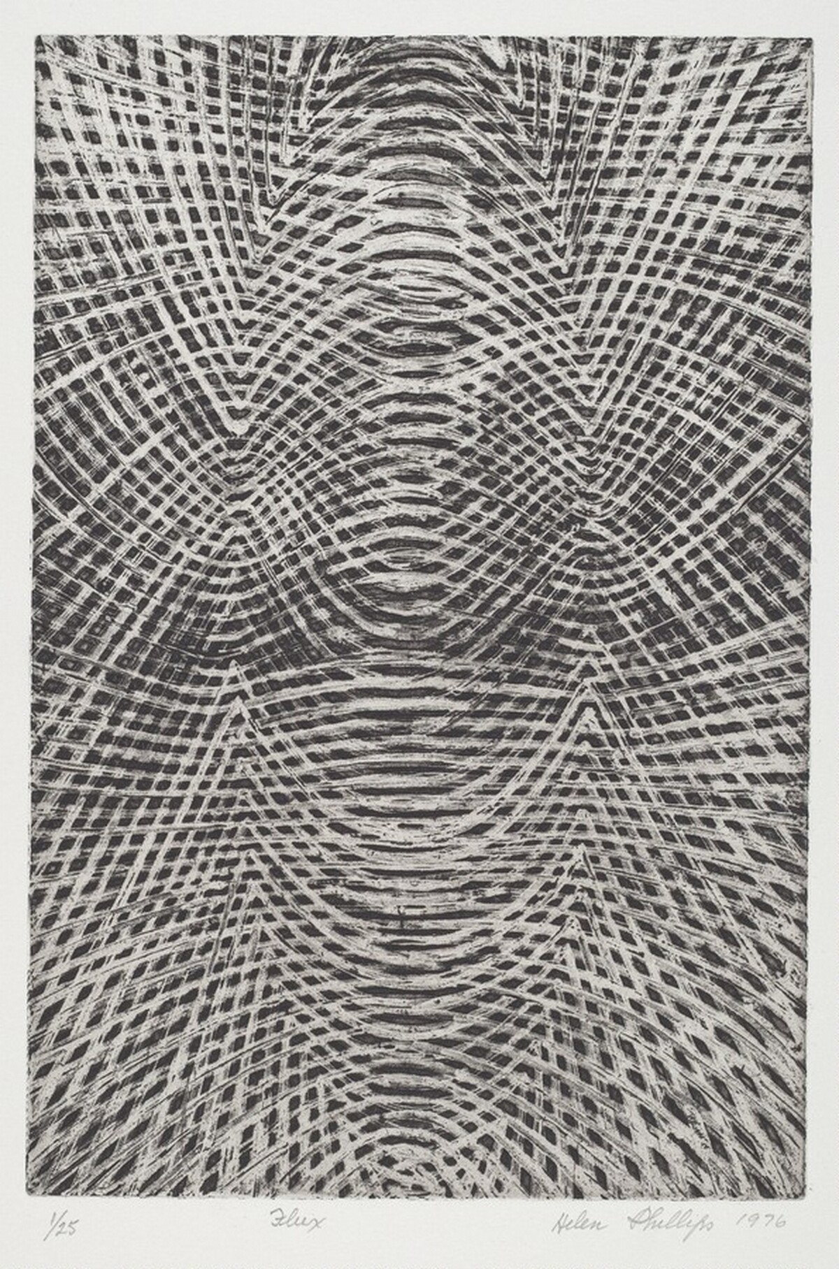 Flux by Helen Phillips
