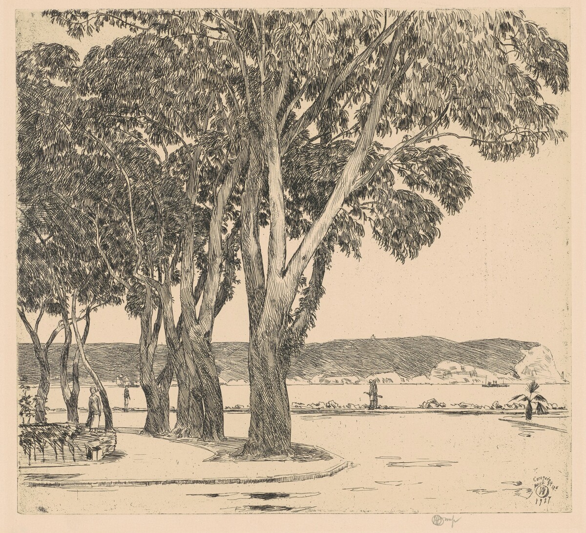 Eucalyptus Trees by Childe Hassam