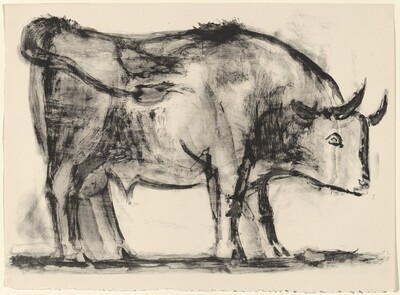 The Bull (Le taureau)
