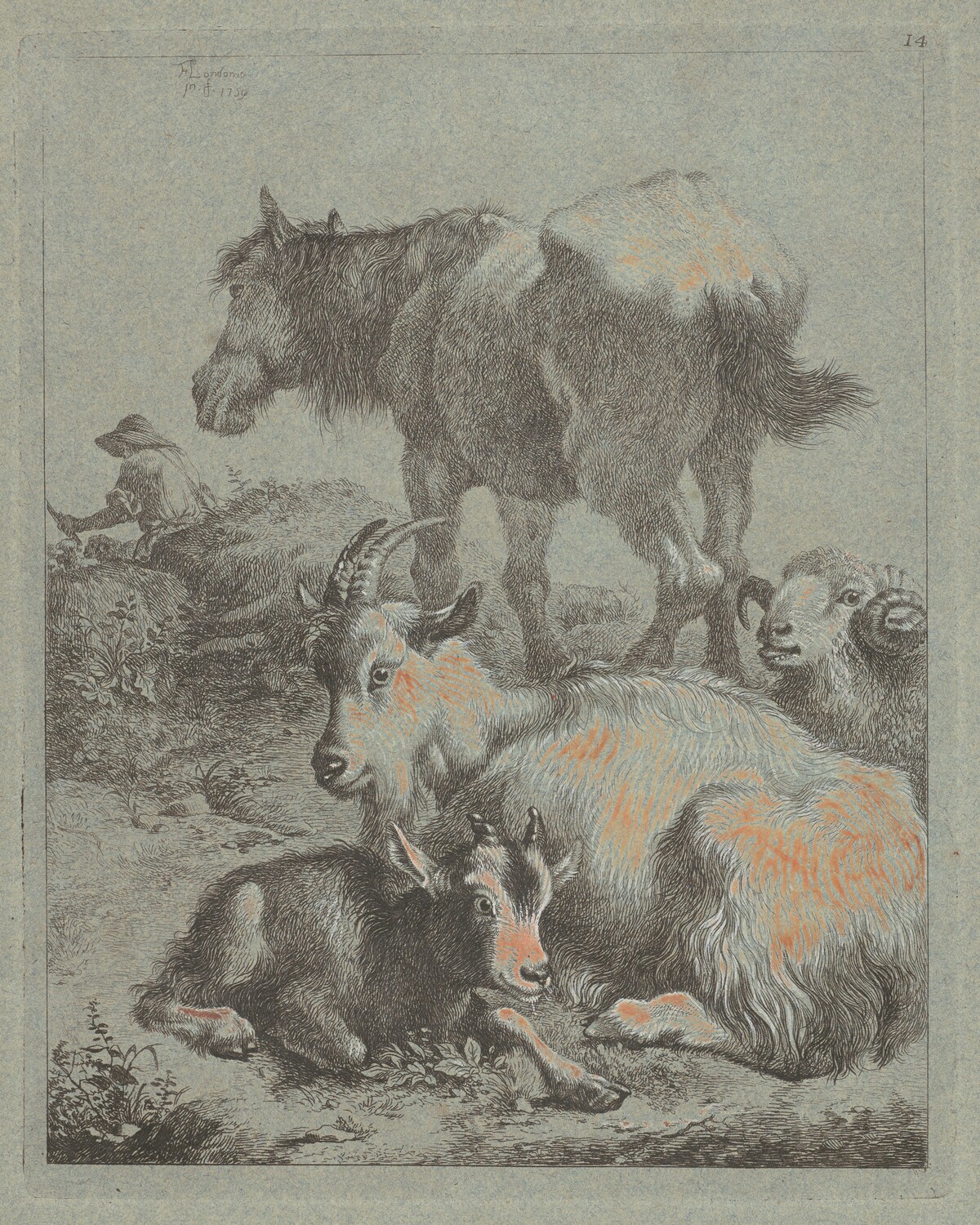 Horse, Ram, Goat with Kid; In the Distance a Shepherd with Flock by Francesco Londonio