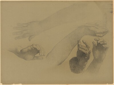 Study of Hands