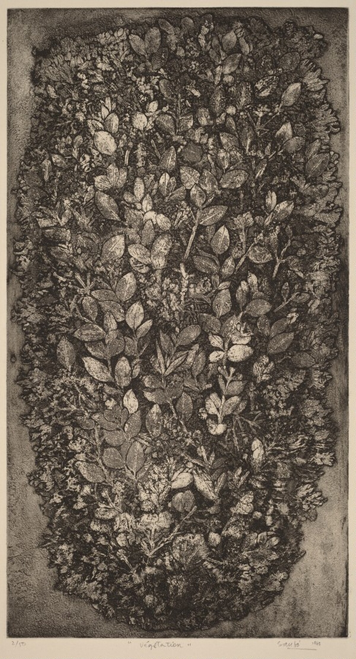 Vegetation by Juvenal Sansò