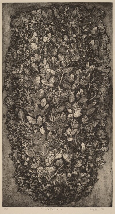 Vegetation