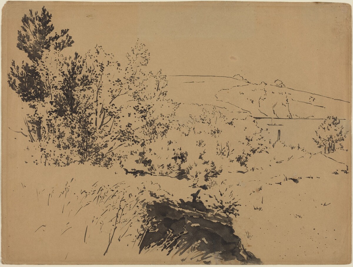 Coastal Landscape by Félix Bracquemond