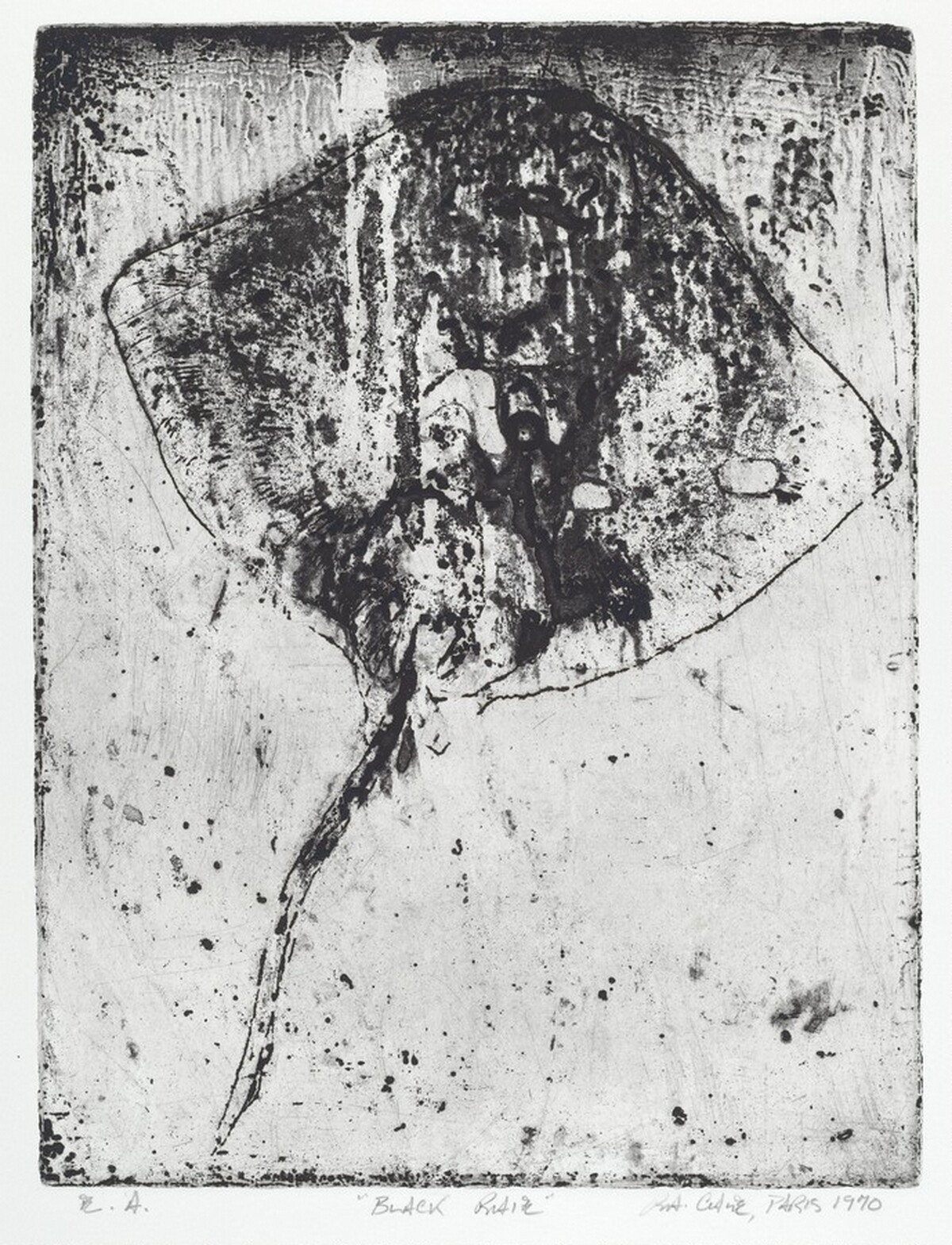Black Raie by Robert Allan Cale