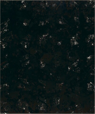 Indigo Wood