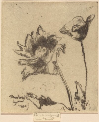 Two Flowers