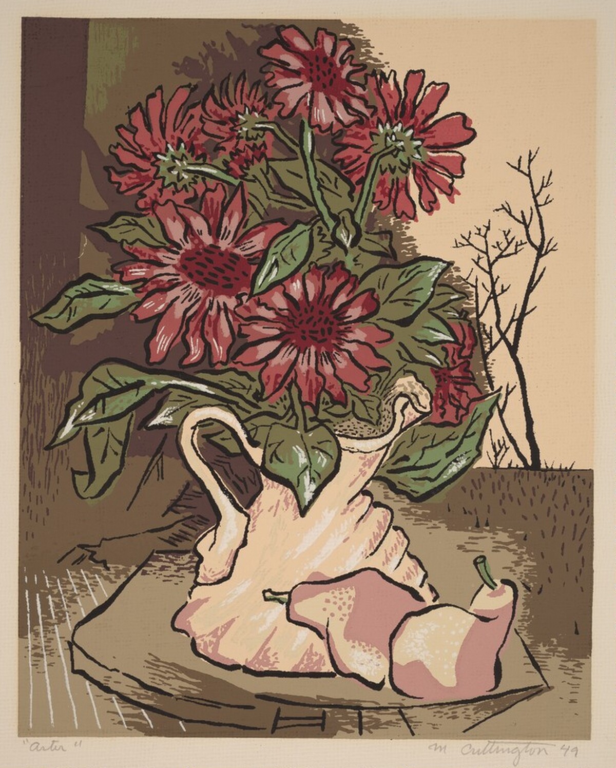 Aster by Unknown