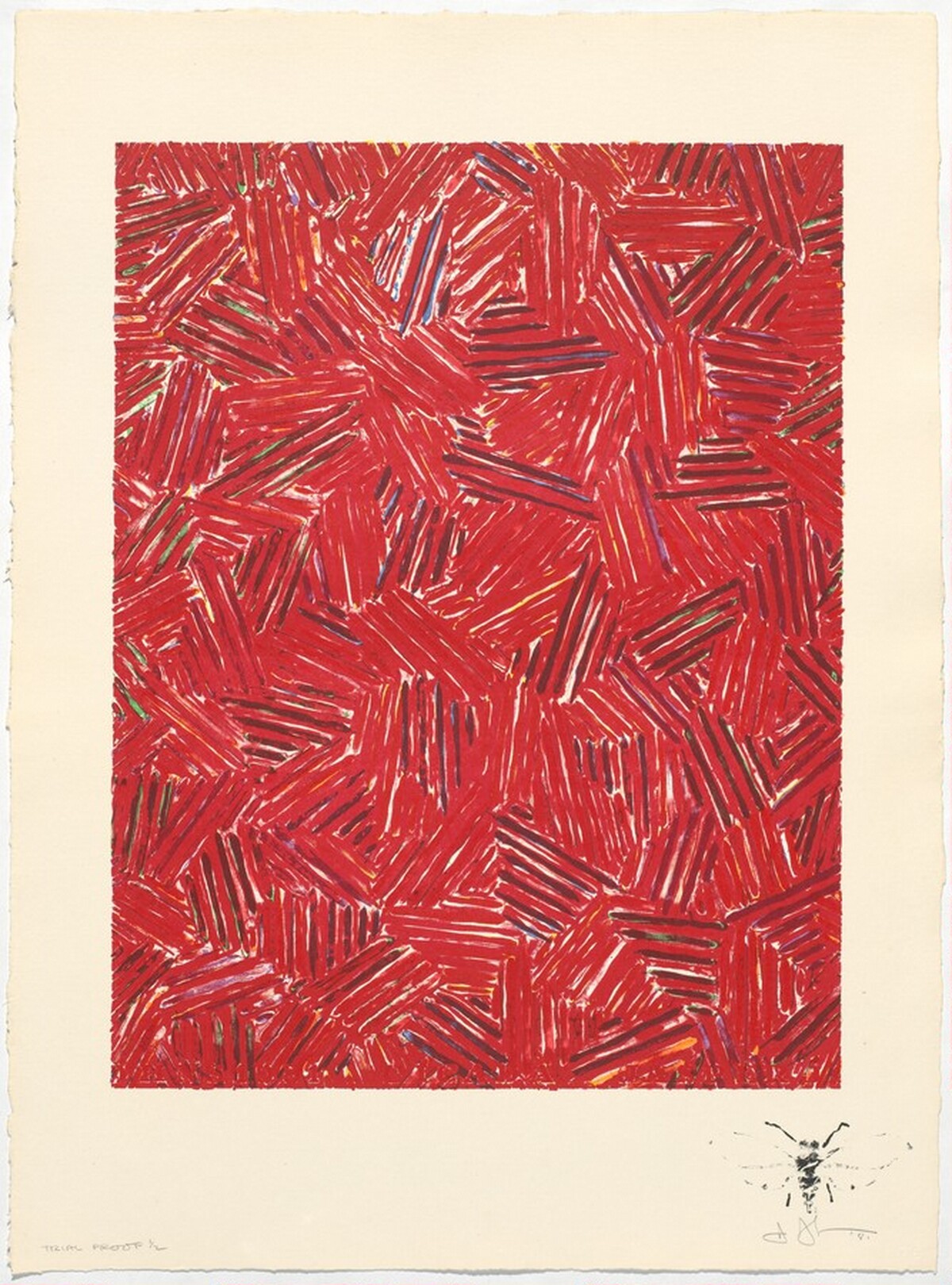 Cicada [trial proof] by Jasper Johns