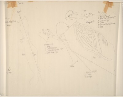 Drawing for Changes and Disappearances No. 33
