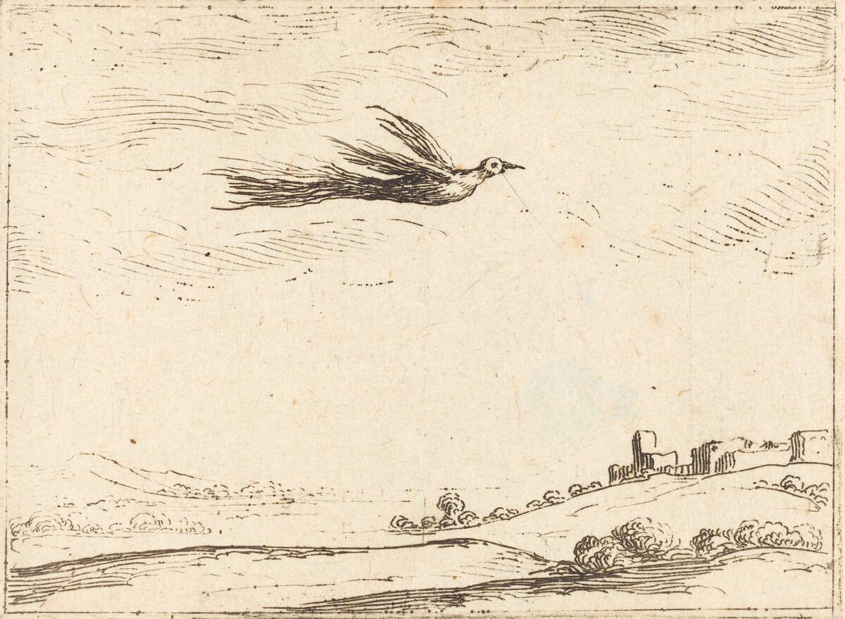 Bird of Paradise by Jacques Callot