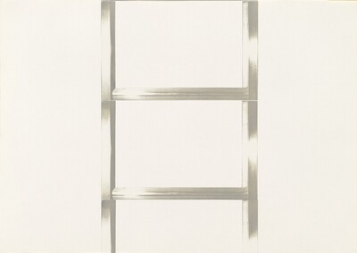 20 Foot Ladder for any Size Wall [III]