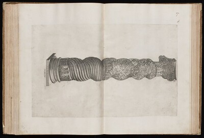 Solomonic Column from Saint Peter's Basilica