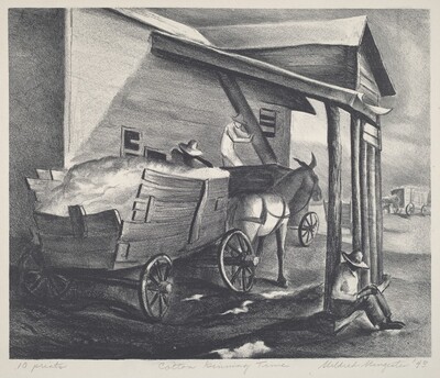 Cotton Ginning Time