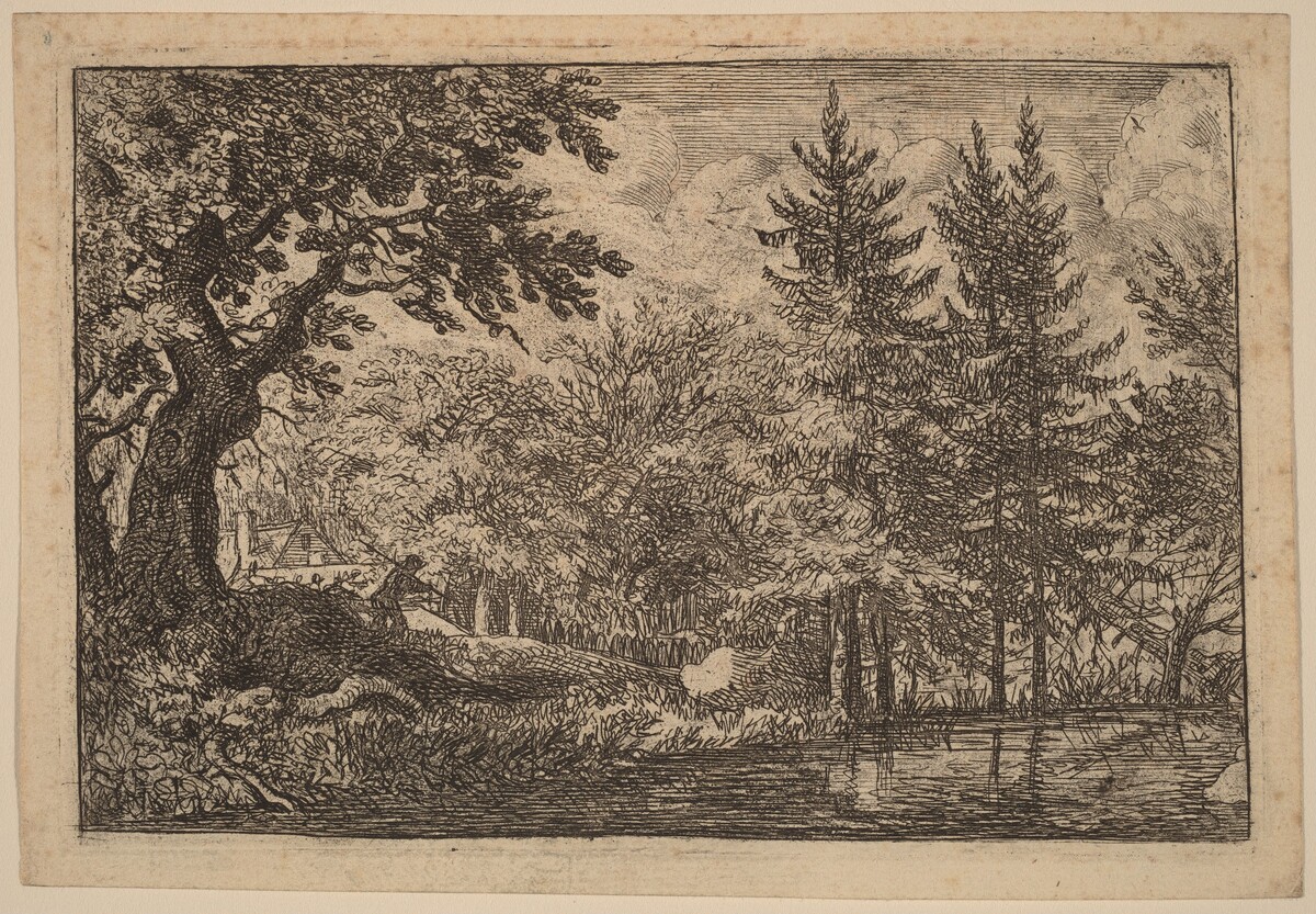 Fir Trees at the Water by Allart van Everdingen