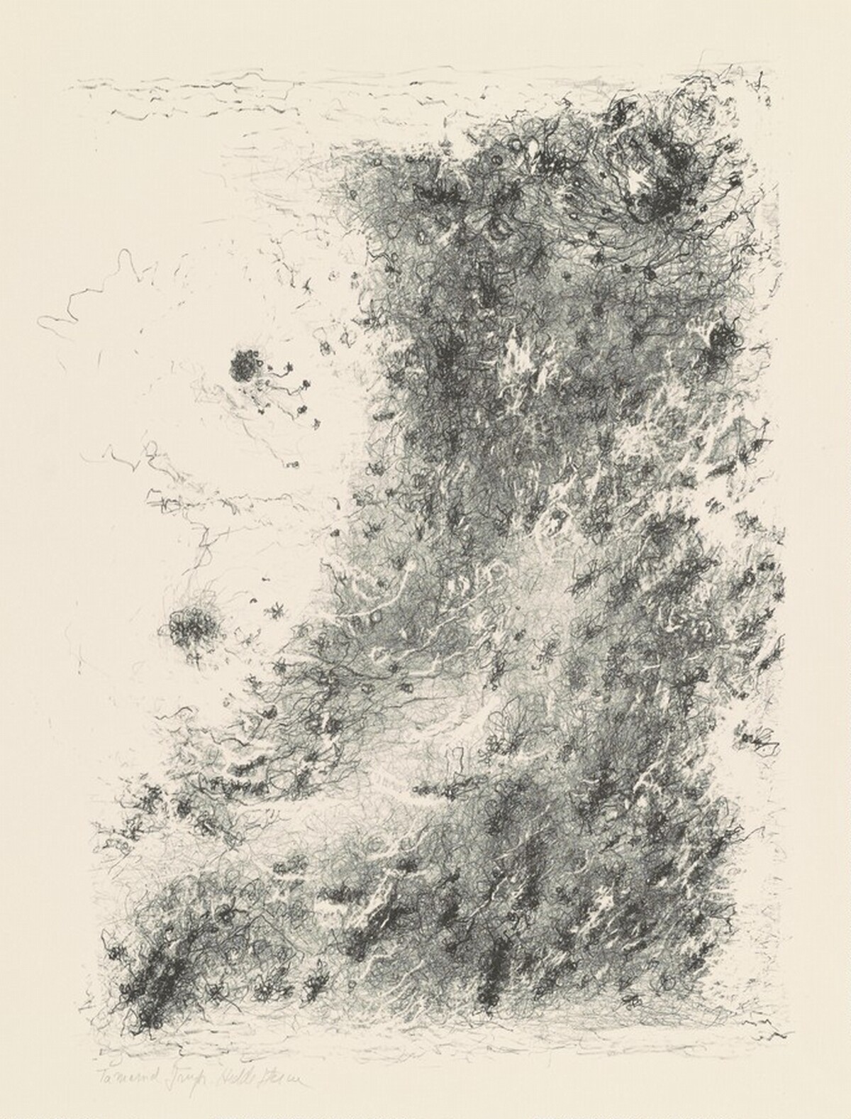 Untitled by Hedda Sterne