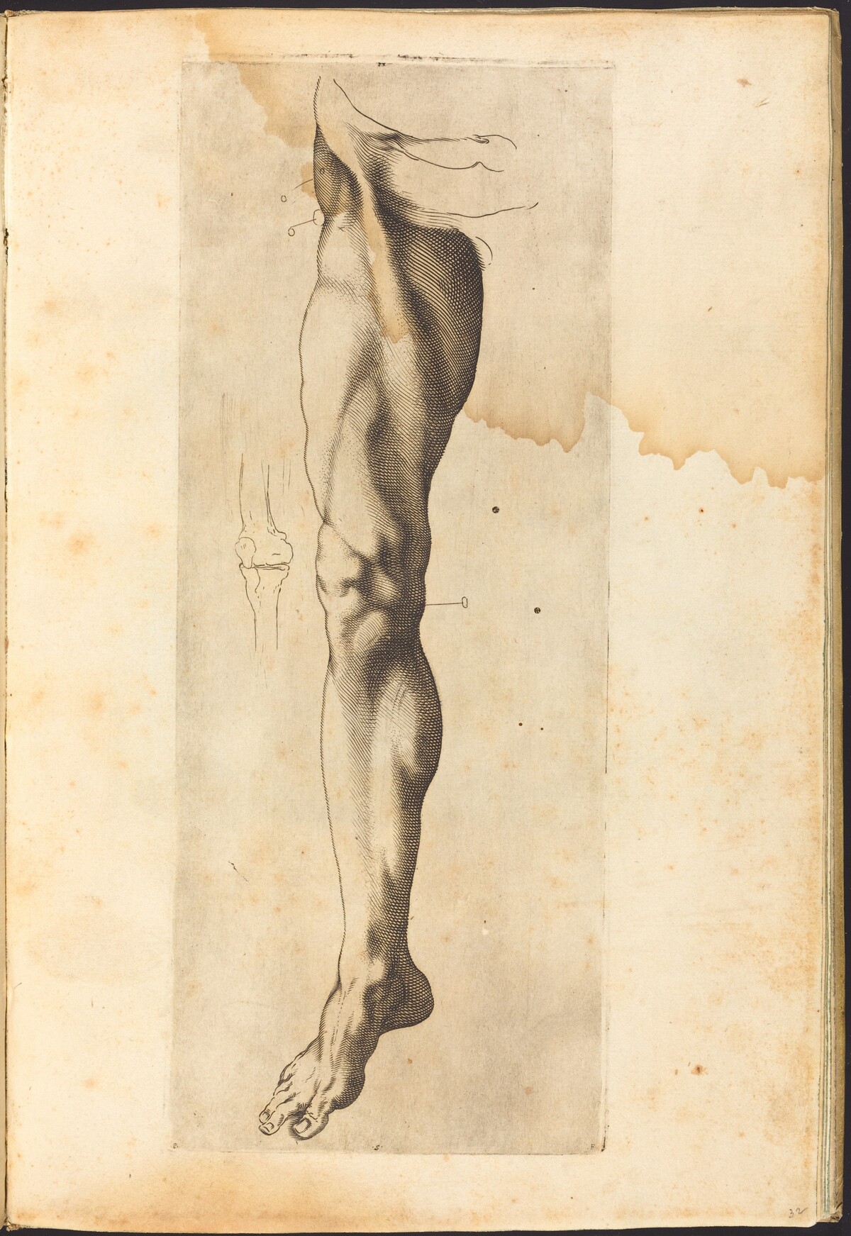 Print from Drawing Book by Luca Ciamberlano