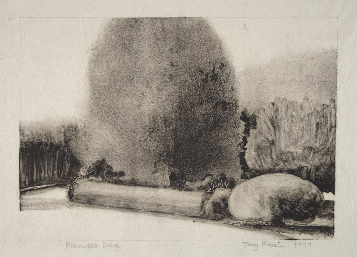 Rosenwald Drive by Tony Rosati