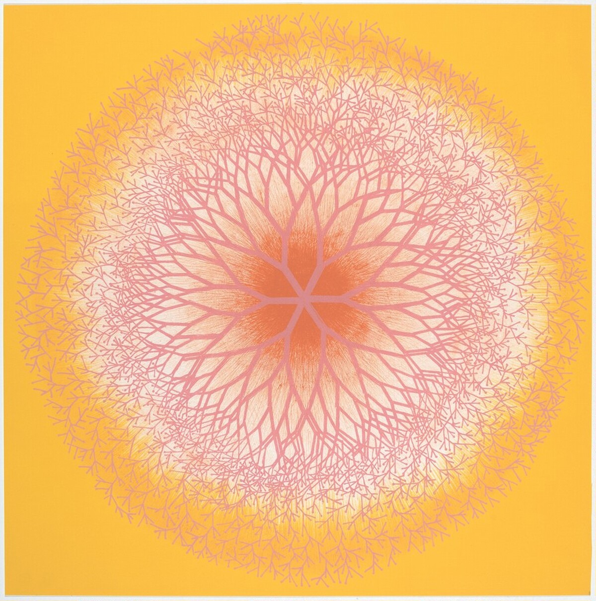 Desert Plant by Ruth Asawa