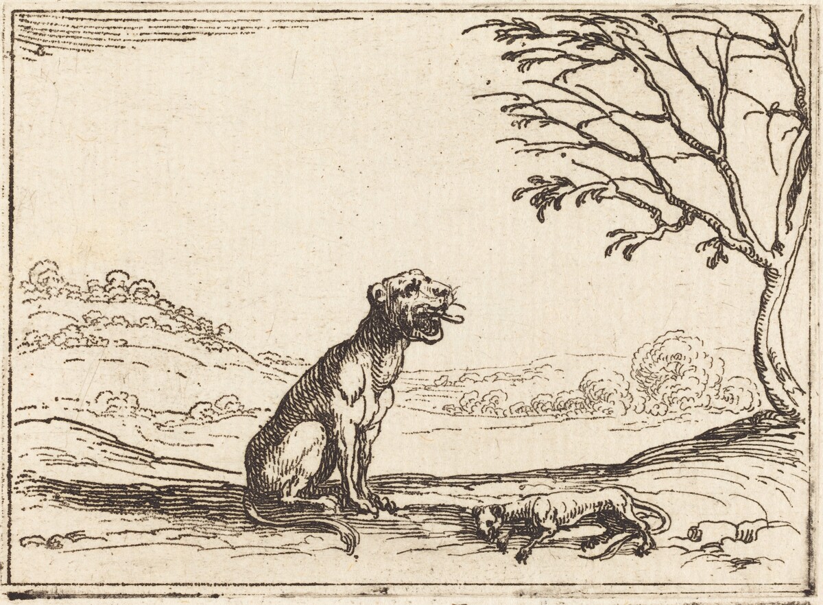 Lioness Mourning her Cub by Jacques Callot