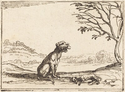 Lioness Mourning her Cub