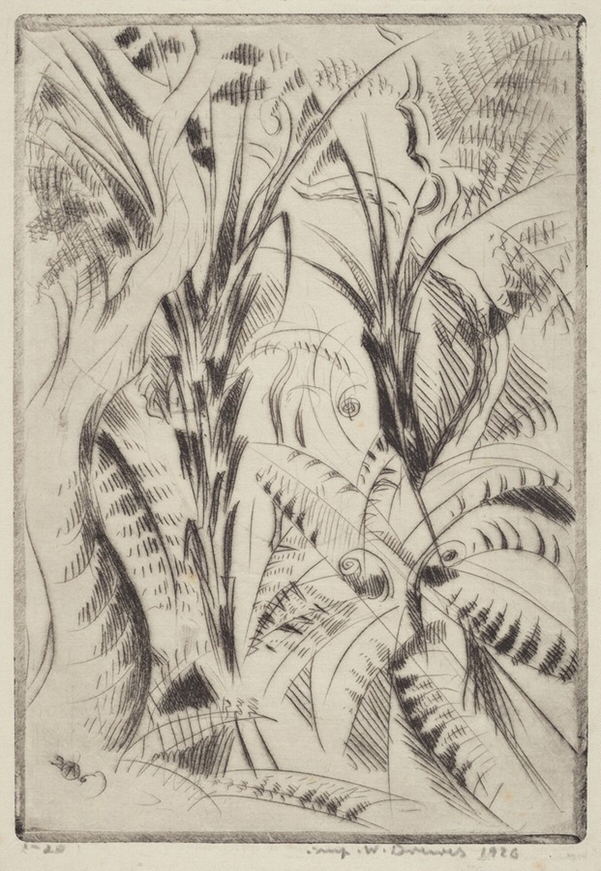Fern Trees II by Werner Drewes