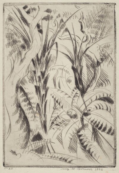 Fern Trees II