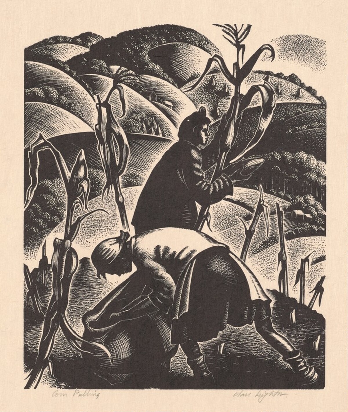 Corn Pulling by Clare Leighton