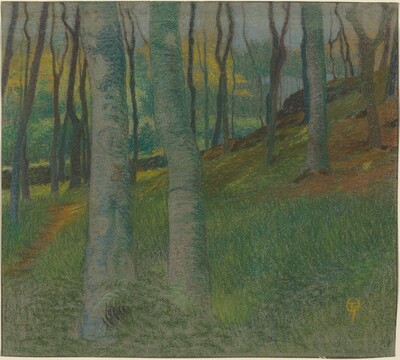 Wooded Landscape