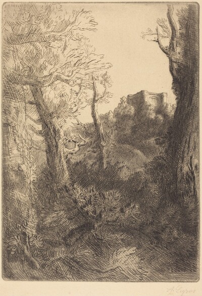 Landscape (Paysage)